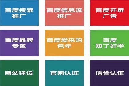 百度SEO推广公司案例汇编：实战优化策略全解析