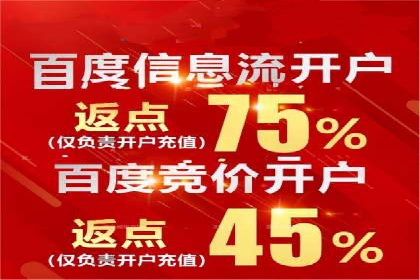某电商平台的SEM推广实战经验